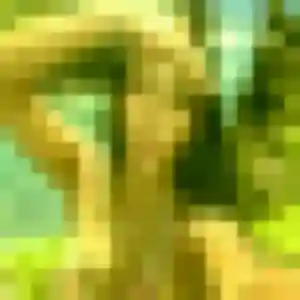 Rencontre Lyana, 22 ans à Lucé en t'inscrivant