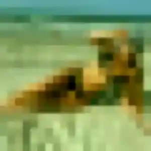 Thais de Luchy, 27 ans - plan cul sans prise de tête