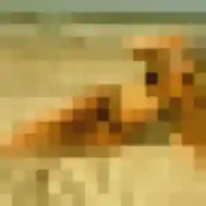 plan cul à Luneray : profil de Thais, 39 ans - sans engagement