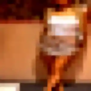 Sexy Blandine, 20 ans à Lutzelhouse - découvrir son profil