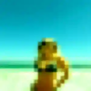 Elena, 29 ans, cherche un plan cul à Luxey