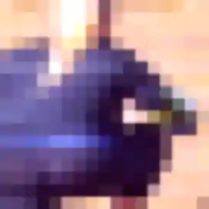 Photo sexy de Mona, 28 ans à Luzinay - plan discret