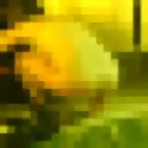 Photo de Eleonore à Lynde (22 ans) - plan cul anonyme