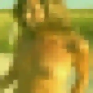 Photo exclusive de Maelys, 29 ans à Magné - rencontre coquine