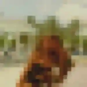 Contacte Leila, 37 ans à Manou gratuitement