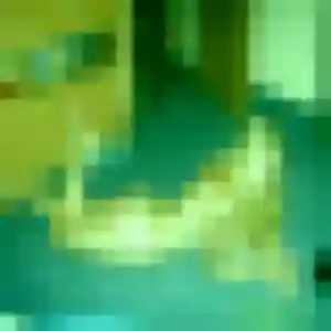 Photo exclusive de Sana, 31 ans à Mansle-les-Fontaines - rencontre coquine