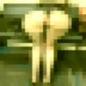 Sexy Colombe, 37 ans à Marcilly-en-Gault - voir sa photo