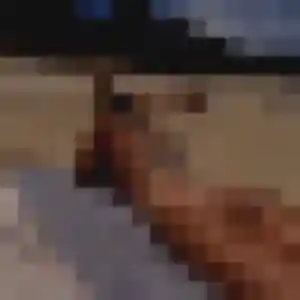 Zelie (39 ans) à Marcilly-sur-Eure cherche une rencontre aujourd'hui