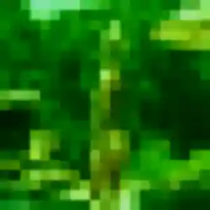 Photo privée de Capucine, 35 ans à Marines - plan discret