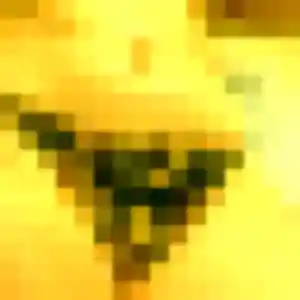 Photo perso de Elena, 30 ans à Marly-le-Roi - plan discret