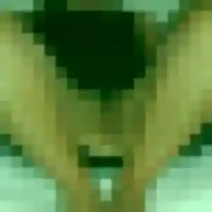 Leila, 23 ans, cherche un plan cul à Maromme