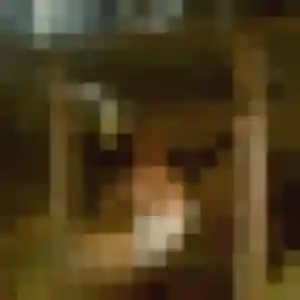 Photo sexy de Capucine, 36 ans à Martigues - rencontre coquine