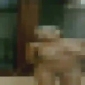 Contacte Mila, 34 ans à Massegros Causses Gorges en privé