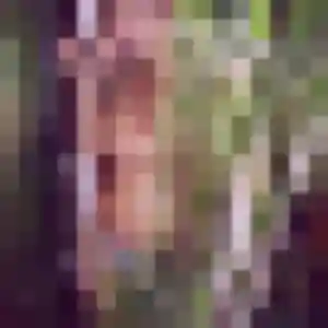 Photo de Elina à Massignieu-de-Rives (27 ans) - plan cul discret