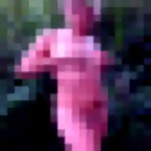 Photo de Syrine à Mauguio (24 ans) - plan cul anonyme