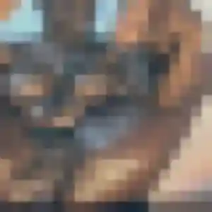 Lilou, 34 ans, en ligne à Maule pour une rencontre coquine