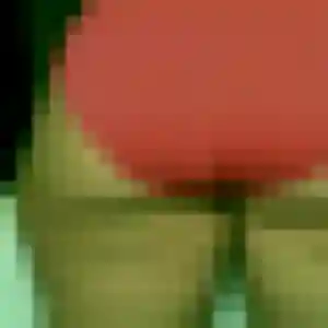 Découvre Olivia, 22 ans à Mauron en privé