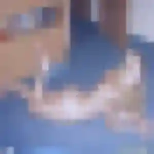 Louna, femme de 21 ans propose plan cul à Mauvezin-sur-Gupie