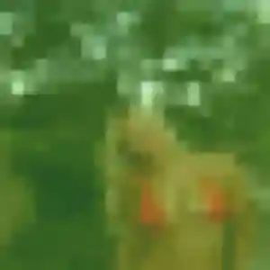 Lena (19 ans) à Maxent attend un plan cul ce soir