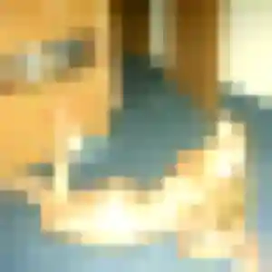 Rencontre Sana, 32 ans à May-sur-Orne en privé