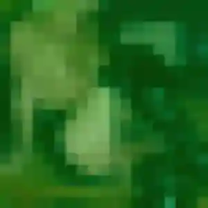 Selma, 21 ans, veut un plan cul à Méaulte