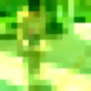 Elya, 36 ans, veut un plan cul à Médan