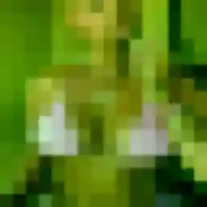 Capucine, 24 ans, en ligne à Mélamare pour une rencontre coquine