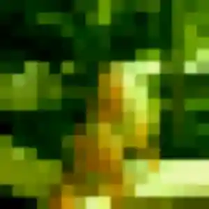 Malika (22 ans) à Mennetou-sur-Cher propose une rencontre rapidement