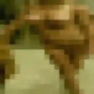 Photo exclusive de Armelle, 23 ans à Mérignac - plan discret
