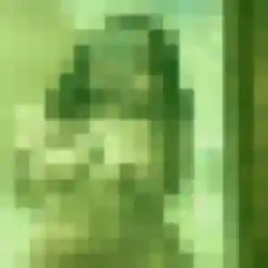 Rencontre Ninon, 35 ans à Merris gratuitement