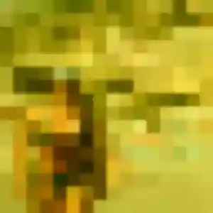 Photo de Myla à Mesnard-la-Barotière (21 ans) - plan cul discret