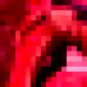 plan cul à Mesnières-en-Bray : profil de Leila, 29 ans - sans engagement