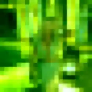 Rejoins Victoire, 22 ans à Mesnières-en-Bray en privé