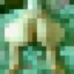 plan cul à Mesnil-Raoul : photo de Meryem, 34 ans - accès libre