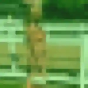 Rencontre Imen, 37 ans à Mesnils-sur-Iton en privé