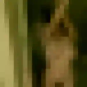 Amandine, 20 ans, disponible à Mesquer pour une rencontre coquine