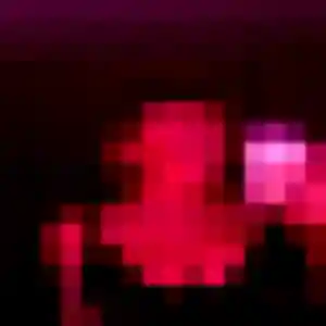 plan cul à Méteren : photo de Sienna, 29 ans - sans engagement