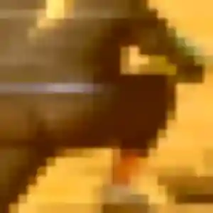 Mona (33 ans) à Meudon propose un plan cul aujourd'hui