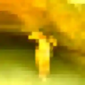 Contacte Giulia, 33 ans à Meulan-en-Yvelines en t'inscrivant