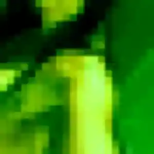 Contacte Yasmine, 23 ans à Mézières-sur-Seine en t'inscrivant