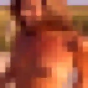 Sexy Elya, 39 ans à Mieuxcé - découvrir son profil