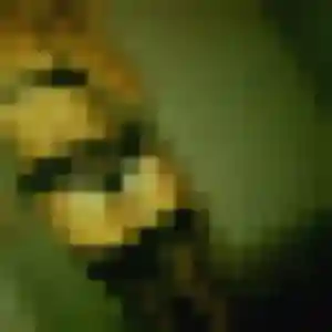 Photo de Inaya à Minversheim (32 ans) - plan cul anonyme