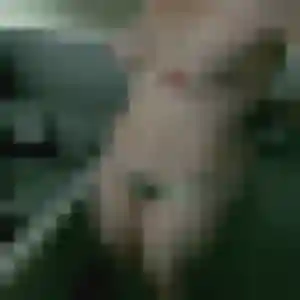 Daphne, 36 ans, cherche un plan cul à Missillac