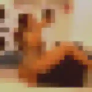 Constance, 27 ans, dispo pour plan cul à Mohon