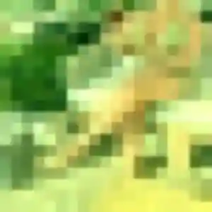 Belle Elya, 35 ans à Moislains - voir sa photo