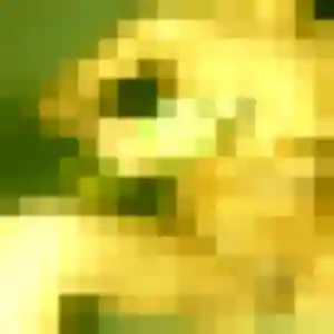 Lise de Monceaux, 32 ans - plan cul sans prise de tête