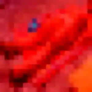 Solene de Monceaux, 19 ans - plan cul sans lendemain