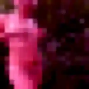 Syrine, 32 ans, cherche un plan cul à Mont-près-Chambord