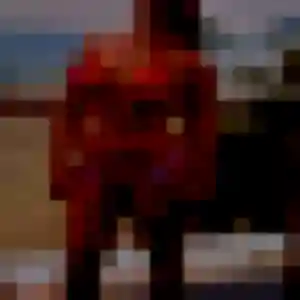 Photo perso de Olivia, 35 ans à Mont-Saint-Aignan - rencontre sans lendemain