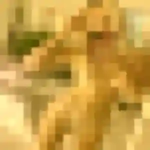 Lina, femme de 38 ans cherche plan cul à Montataire